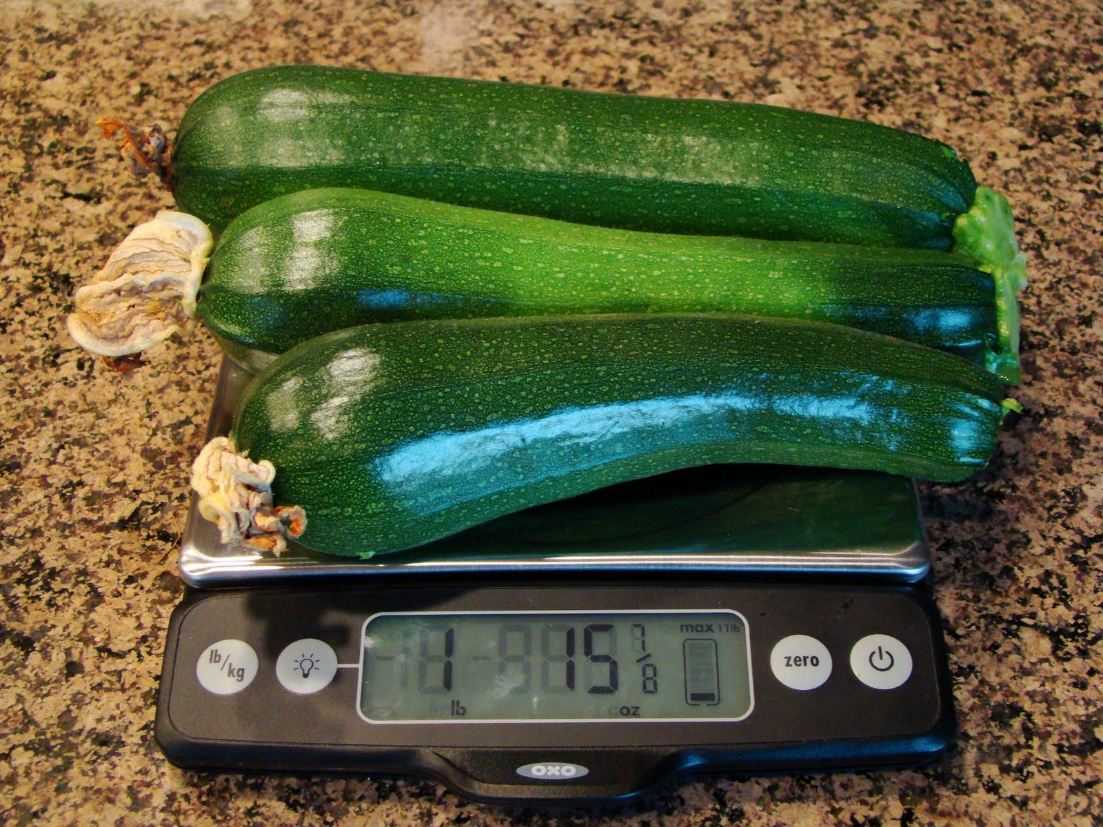 Ash of All Trades July 2011