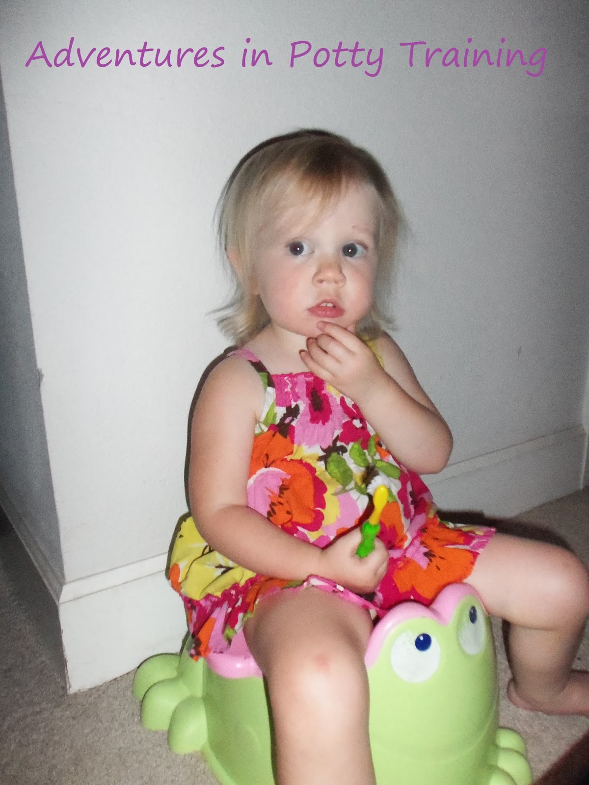 potty training blog