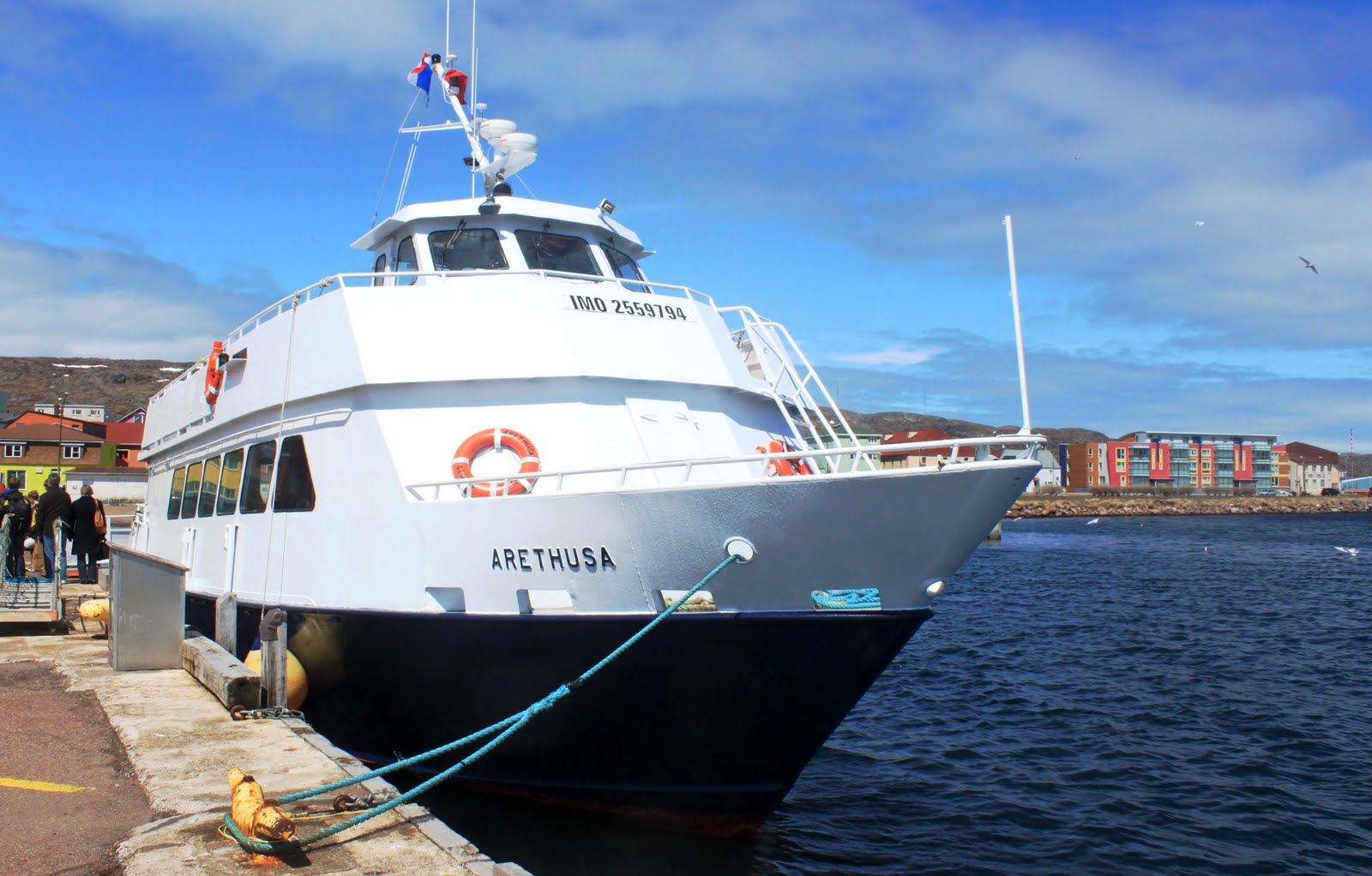 Nono le Newfee Saint Pierre et Miquelon