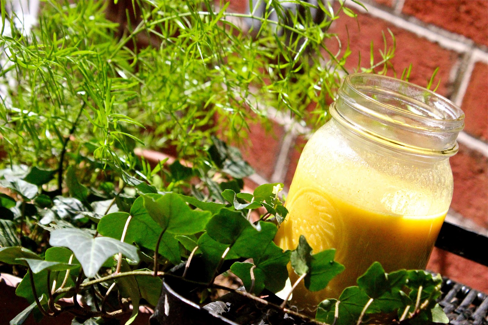 Katherine Garden Spinach Herb Wraps