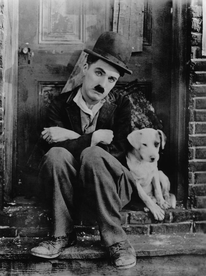 EL PERRO DE CHAPLIN