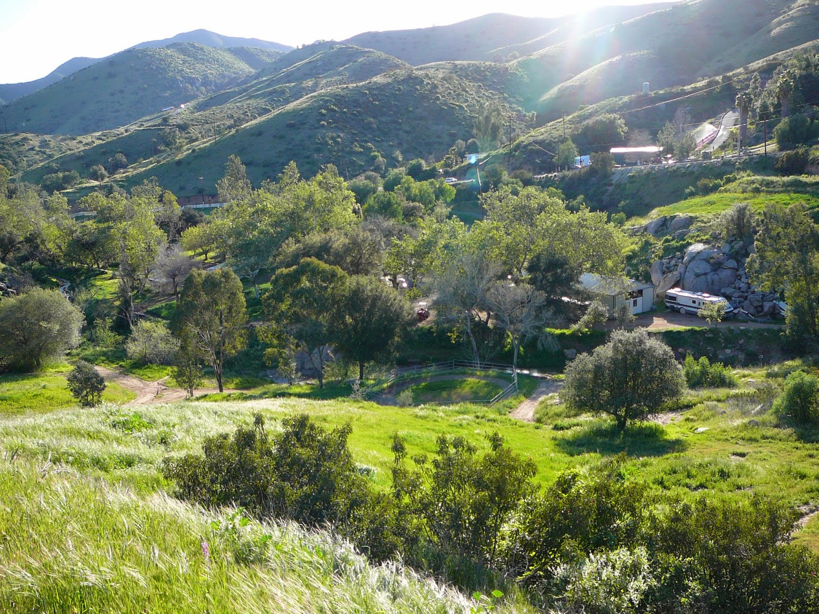 Rural Living in Harbison Canyon Horse Property