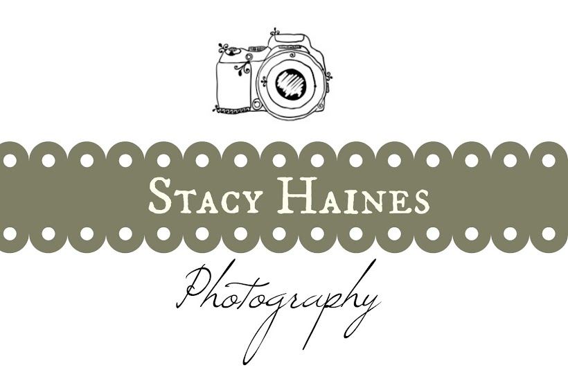 Stacy Haines Photography