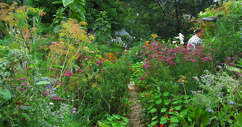 Making Creative Garden Path Ideas - Garden Edging Ideas