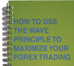 Forex webinar training