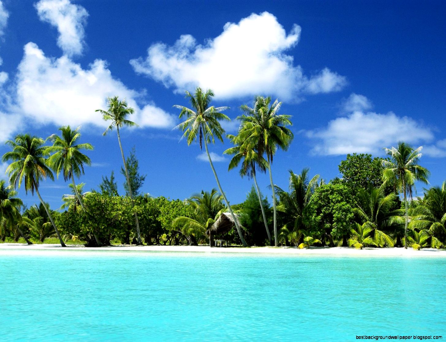 Tropical Beach Paradise Tropical Beach Paradise