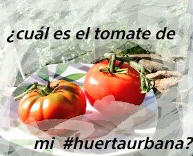 Tomates, raf y de rama 