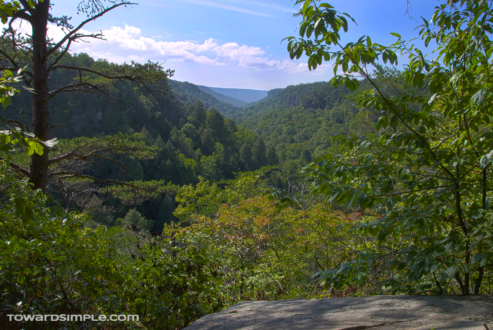 Rattlesnake Point at Savage Gulf, TN Rattlesnake Point Overlook at Savage Gult, TN
