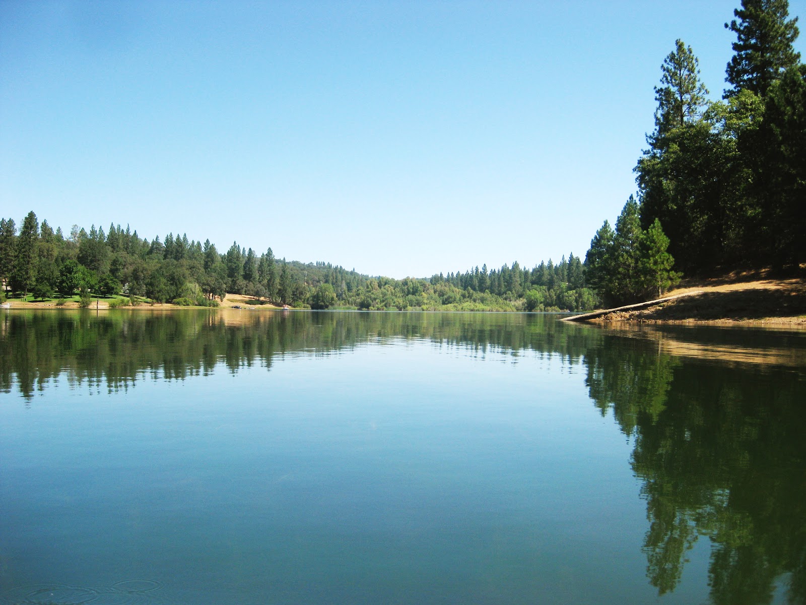 Meadow Vista, California Alchetron, the free social encyclopedia