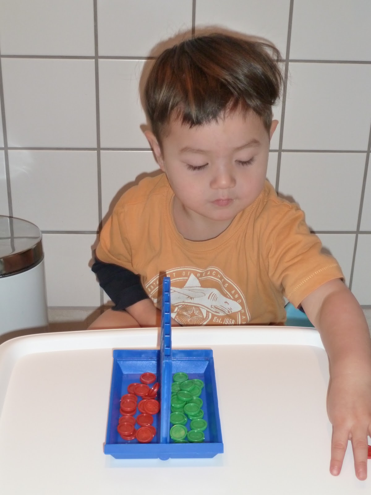 Family FECS Montessori Activity Inserting Counters