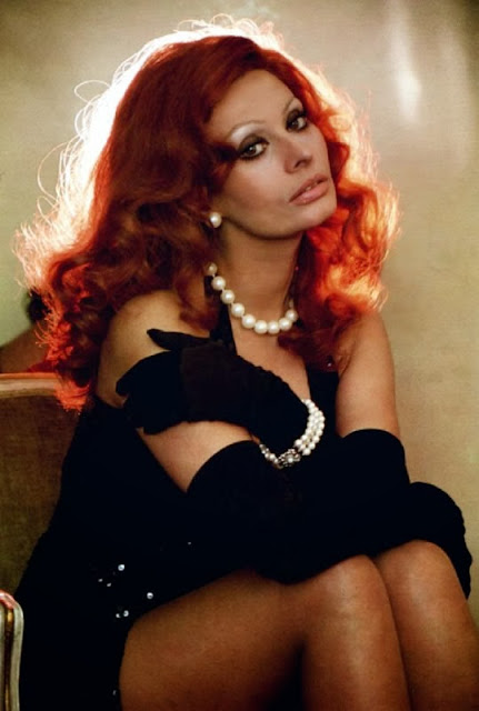 Sophia Loren HD Wallpapers Free