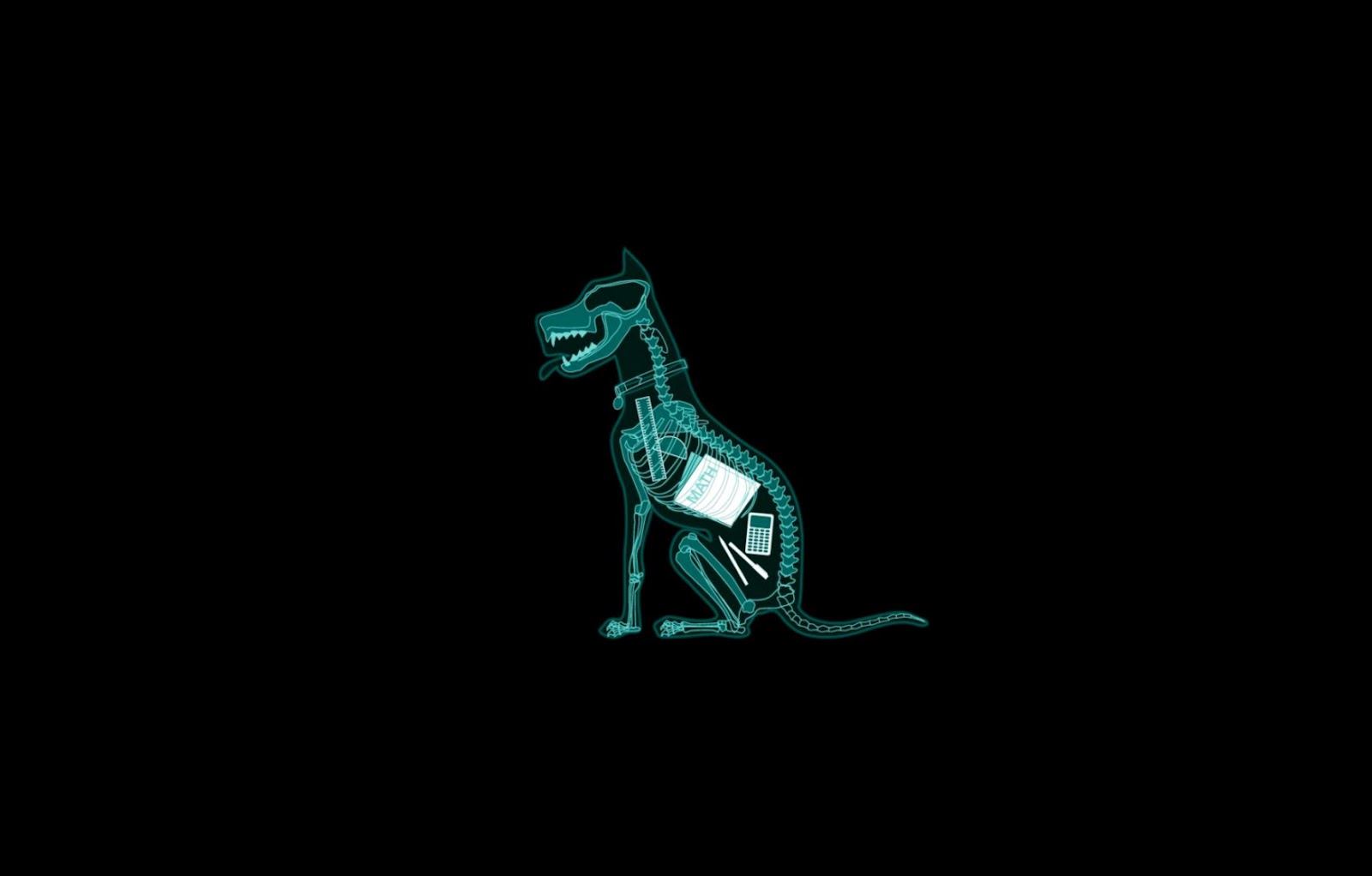 Funny Dog Wallpapers for My Desktop Funny Dog Wallpapers for My Desktop