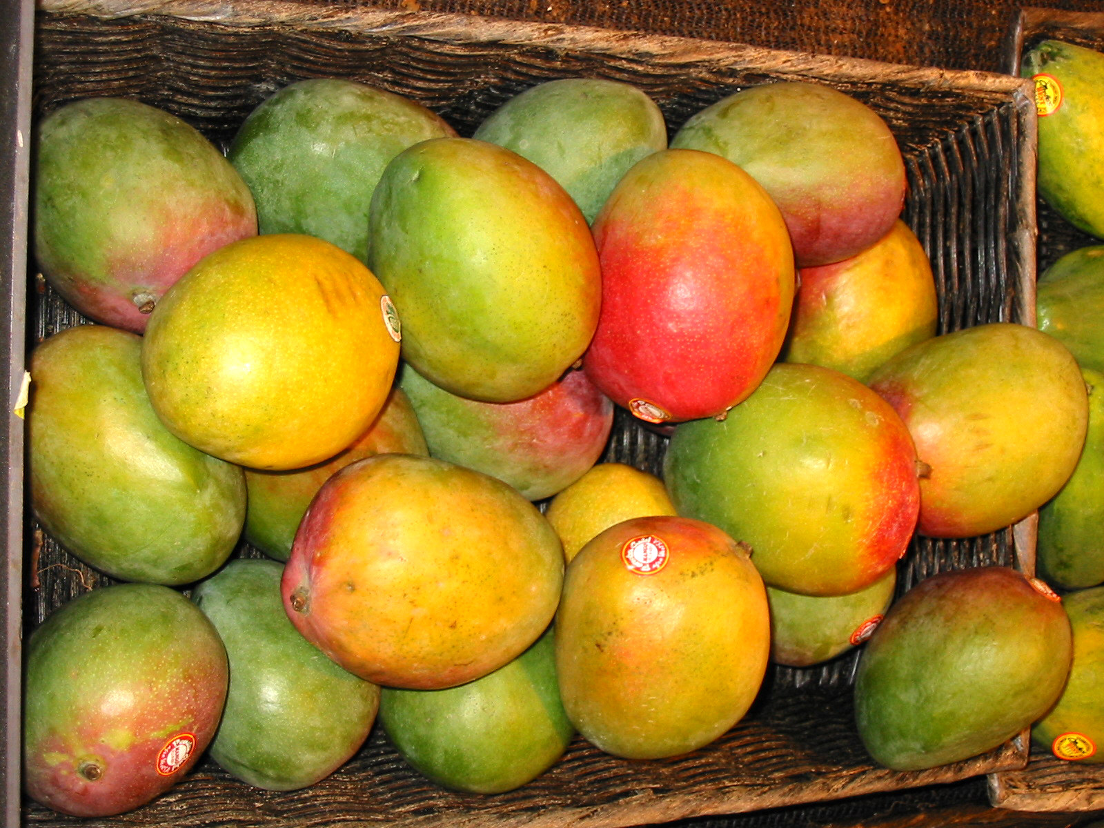 Pic Of Mango