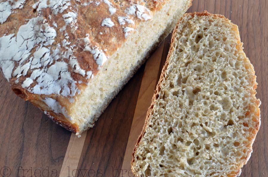 Frieda Loves Bread Easy No Knead Bread Multigrain Wheat