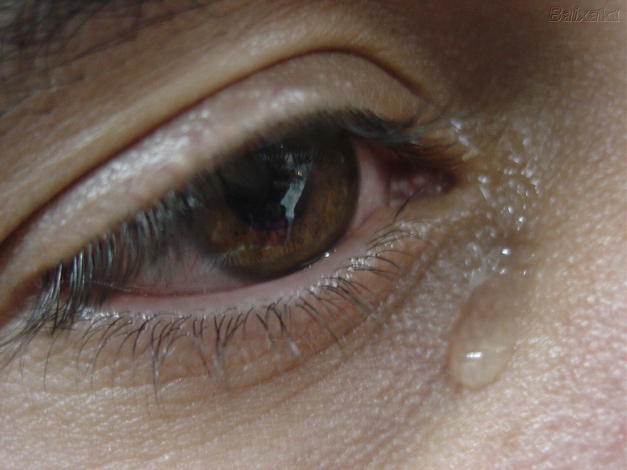 No Caminho das Palavras Minhas lágrimas