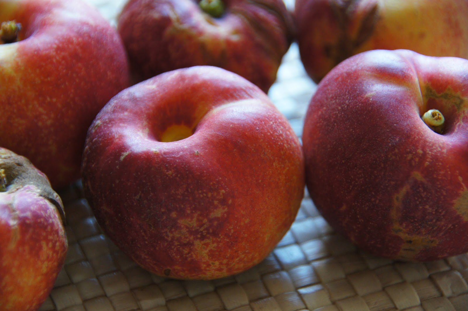 A Thinking Stomach Desert Delight Nectarine Harvest, 2012