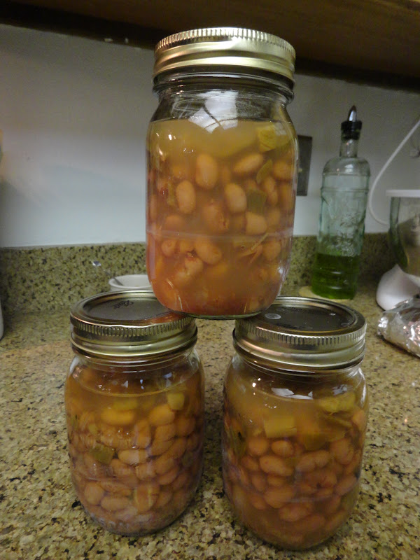 Canarella Pressure Canning Pinto Beans