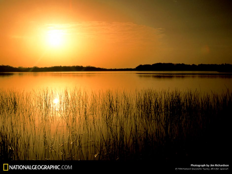 Florida Everglades National Park 1998 Photo of the Day Picture Florida Everglades National Park 1998 Photo of the Day Picture