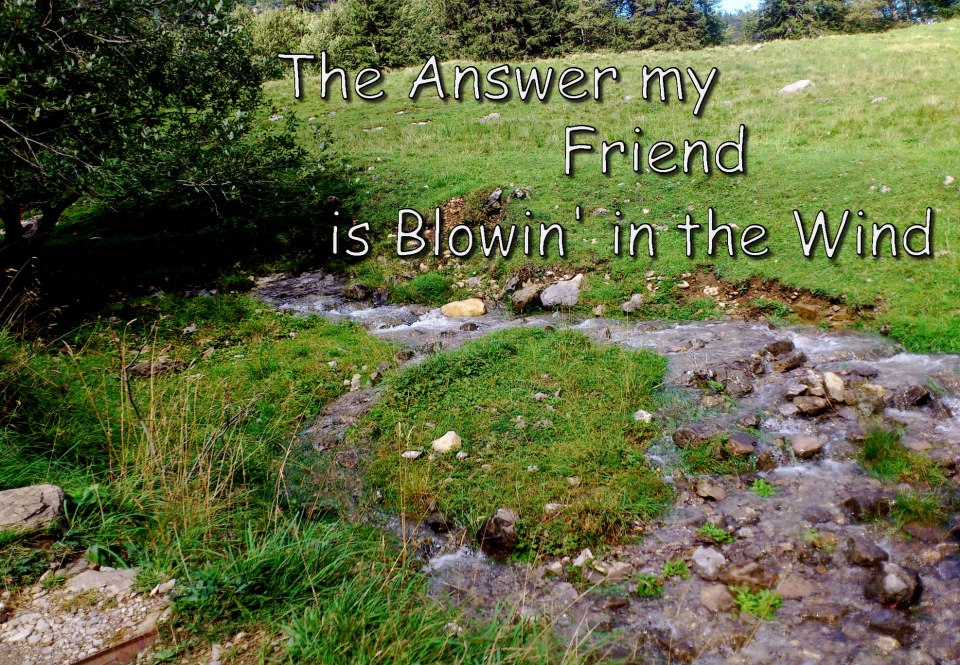 The%2Banswer%2Bmy%2Bfriend%2Bis%2Bblowin%27%2Bin%2Bthe%2Bwind.jpg