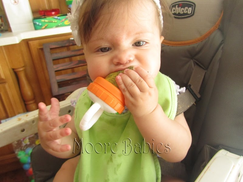 Moore babies Mesh Feeding Teethers