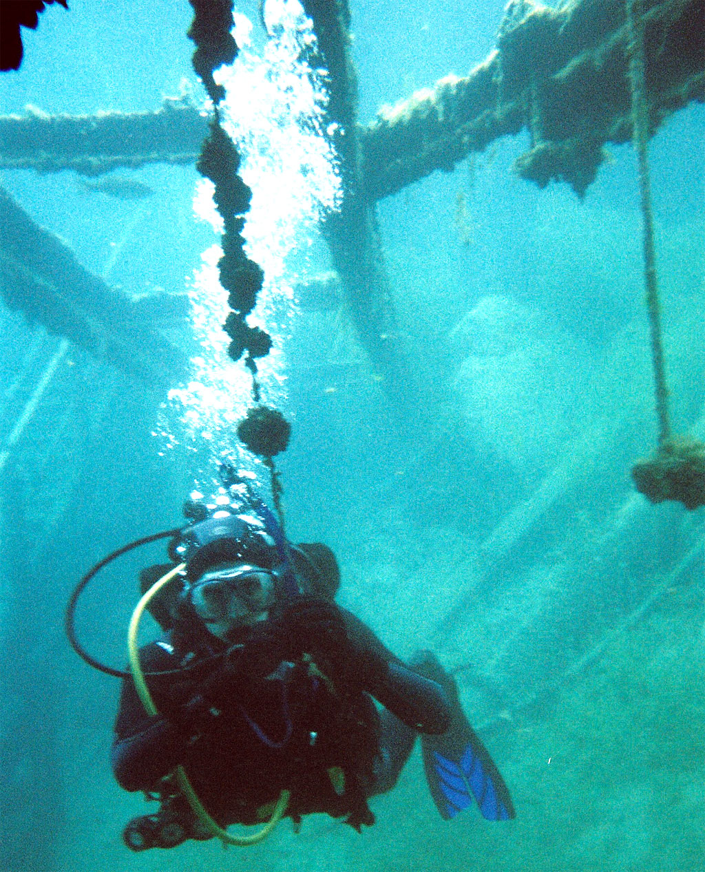 Brandon Horn Dutch Springs Dive Photos