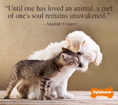 Until You Have Loved an Animal...