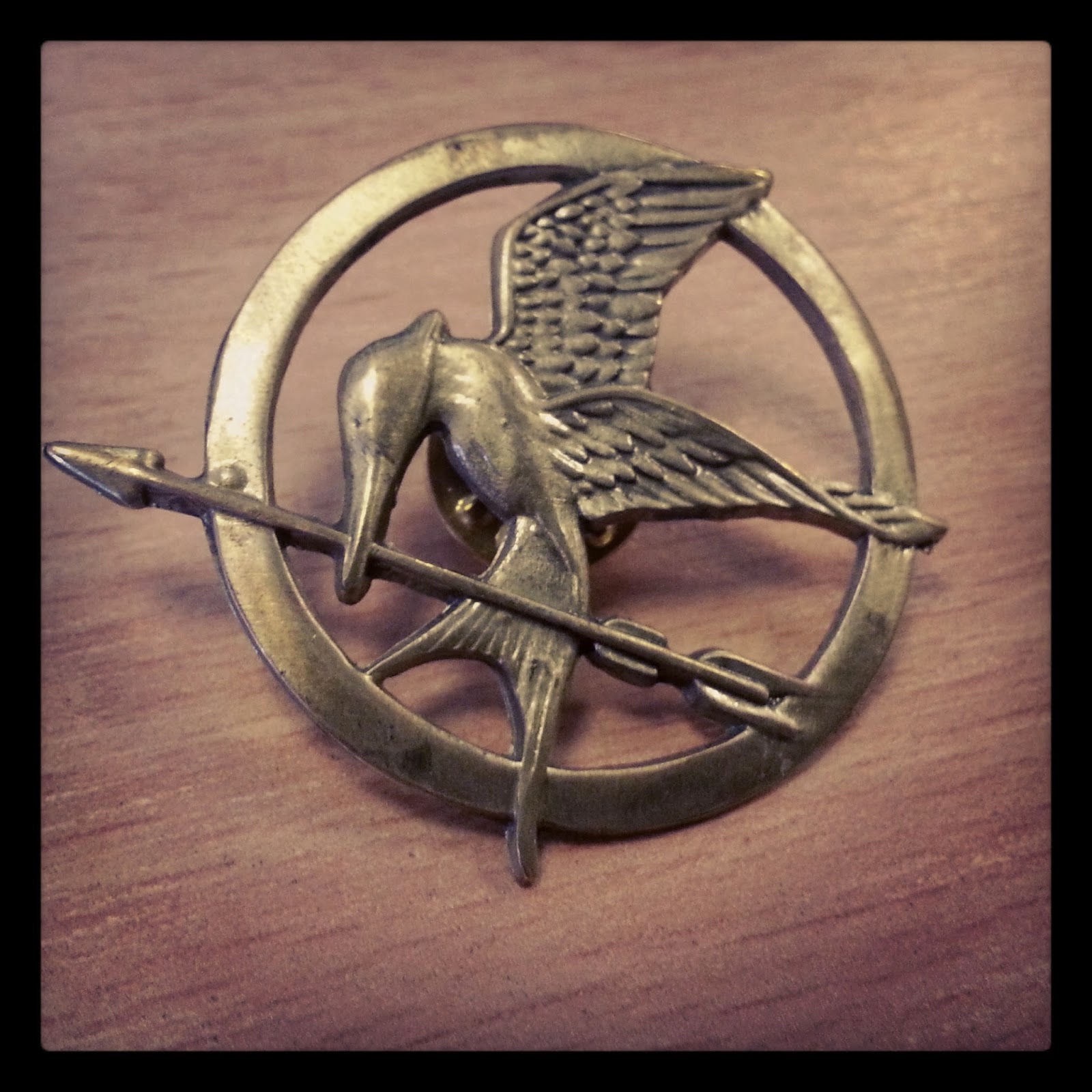 Oh my geek! The Hunger Games Catching Fire (2013)