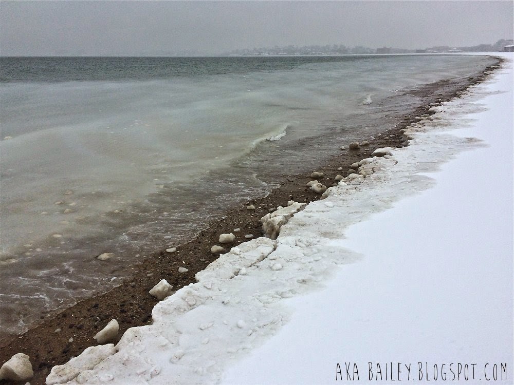 The shore at Revere Beach in the winter