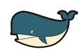 Blue Whale Rond De Wereld