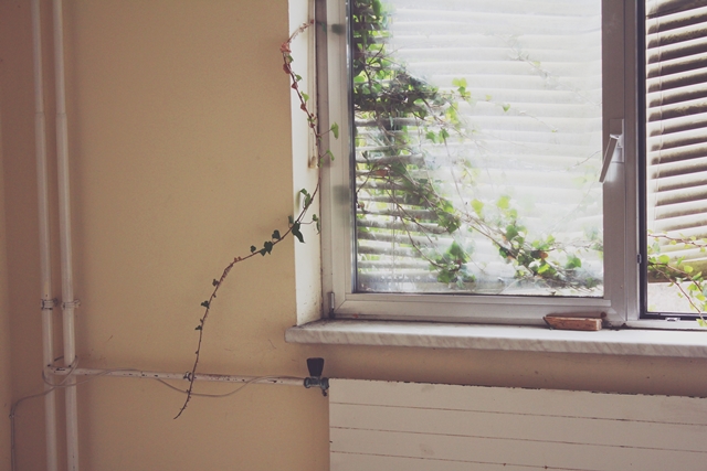 The Innovation Of Loneliness I Share Therefore I Am