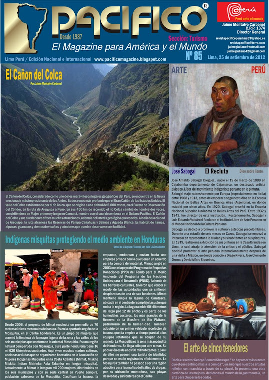 Revista Pacífico Nº 85 Turismo