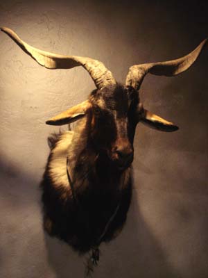 Goat Head Sculpture