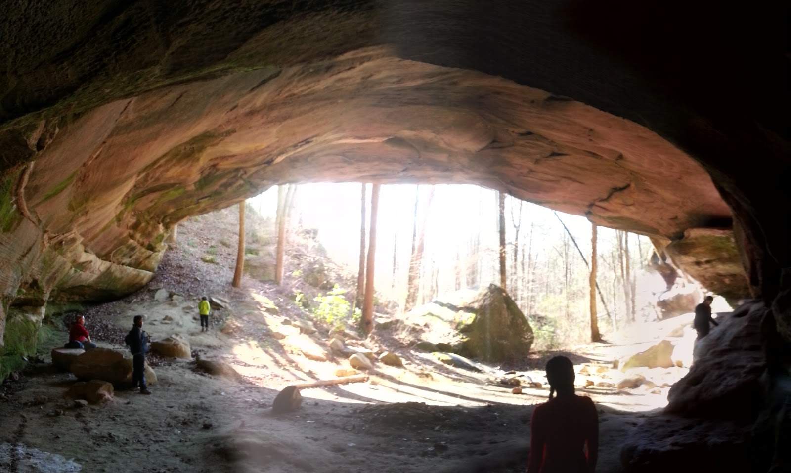 10 Beautiful Natural Shelters Now BeautifulNow