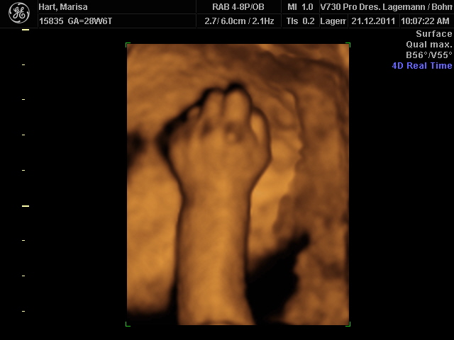 Der Korper Die Sinne Und Die Phanomenologie Der Wahrnehmung Vom