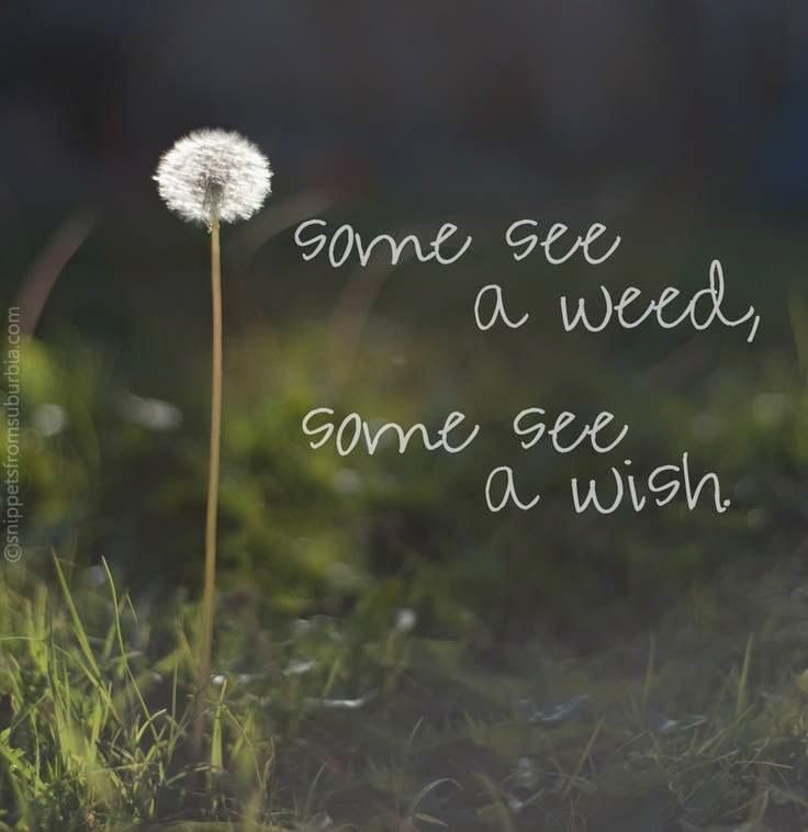 10 excellent quotes to