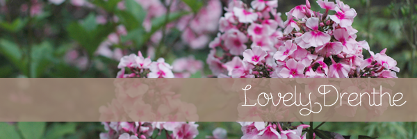 Roze Bloemen