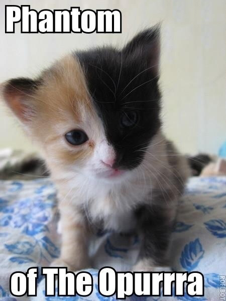 Phantom%2BOf%2BThe%2BOpurrra%2BKitty.jpg