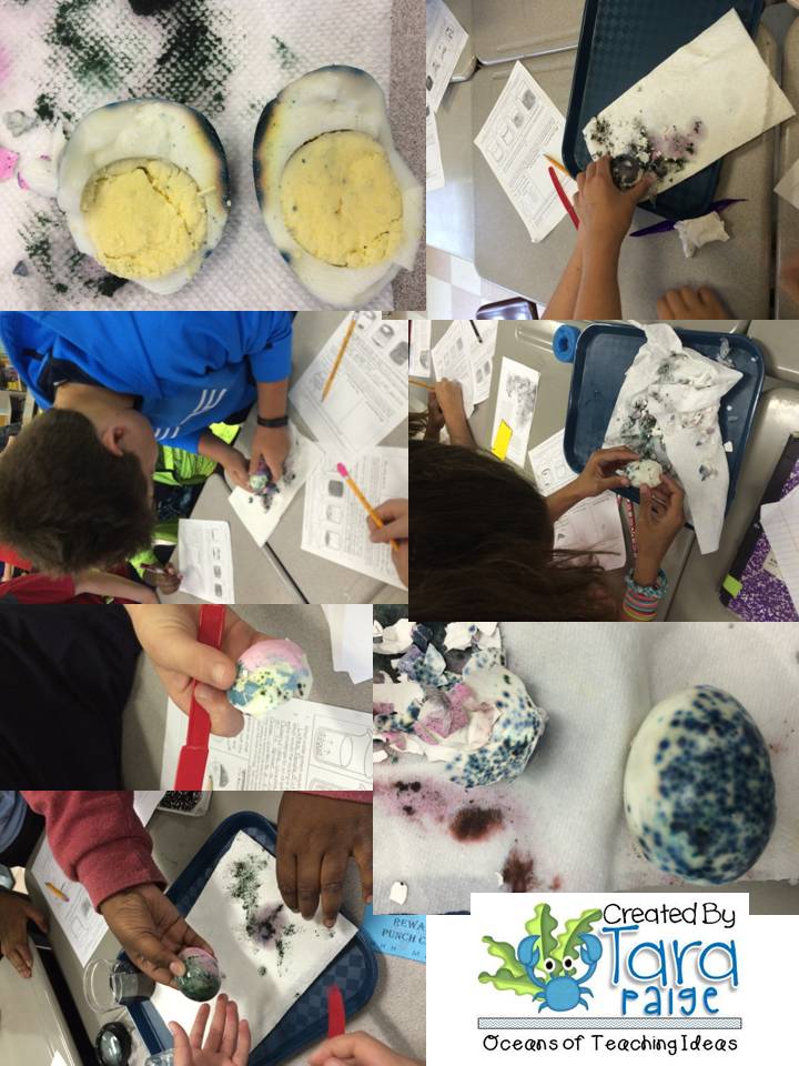 Oceans of Teaching Ideas Oil Spill Activity