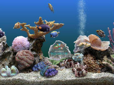 SereneScreen Marine Aquarium V3.2.6029 With Key Full Version