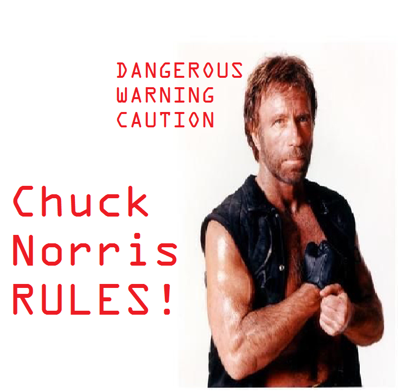 Chuck Norris RULES!
