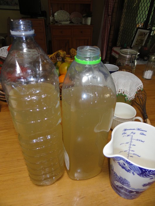 Making ginger beer from scratch Down to Earth