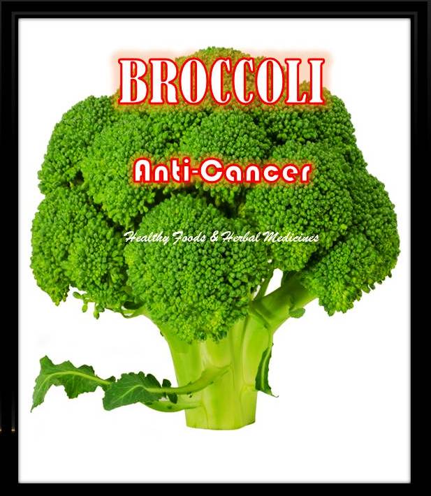 HEALTHY FOODS & HERBAL MEDICINES BROCCOLI AND CANCER PREVENTION