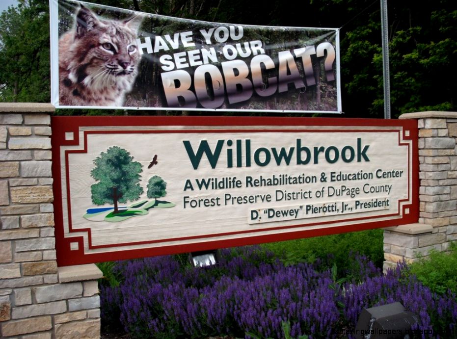 Panoramio Photo of Willowbrook Wildlife Center Panoramio Photo of Willowbrook Wildlife Center