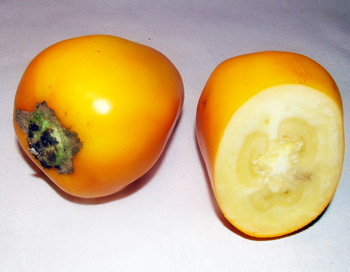 aMéRiCa LaTiNa !!!: Breve Glosario de Ingredientes de la cocina peruana