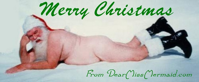 Merry Christmas from DearMissMermaid.Com