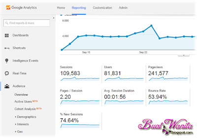 Traffic report dari google analytics.