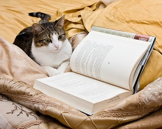 True Book Addict...True to Books: Cat Thursday