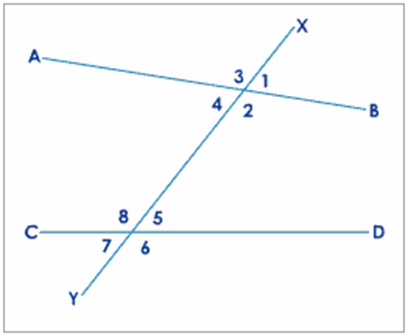 What Is Transversal Angles Alternate Interior Angles