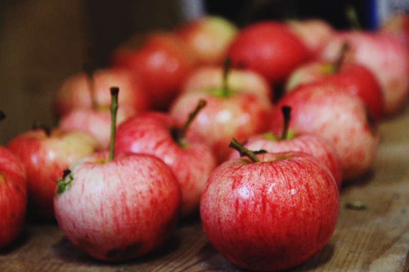 Kuvahaun tulos haulle hepan ruoka