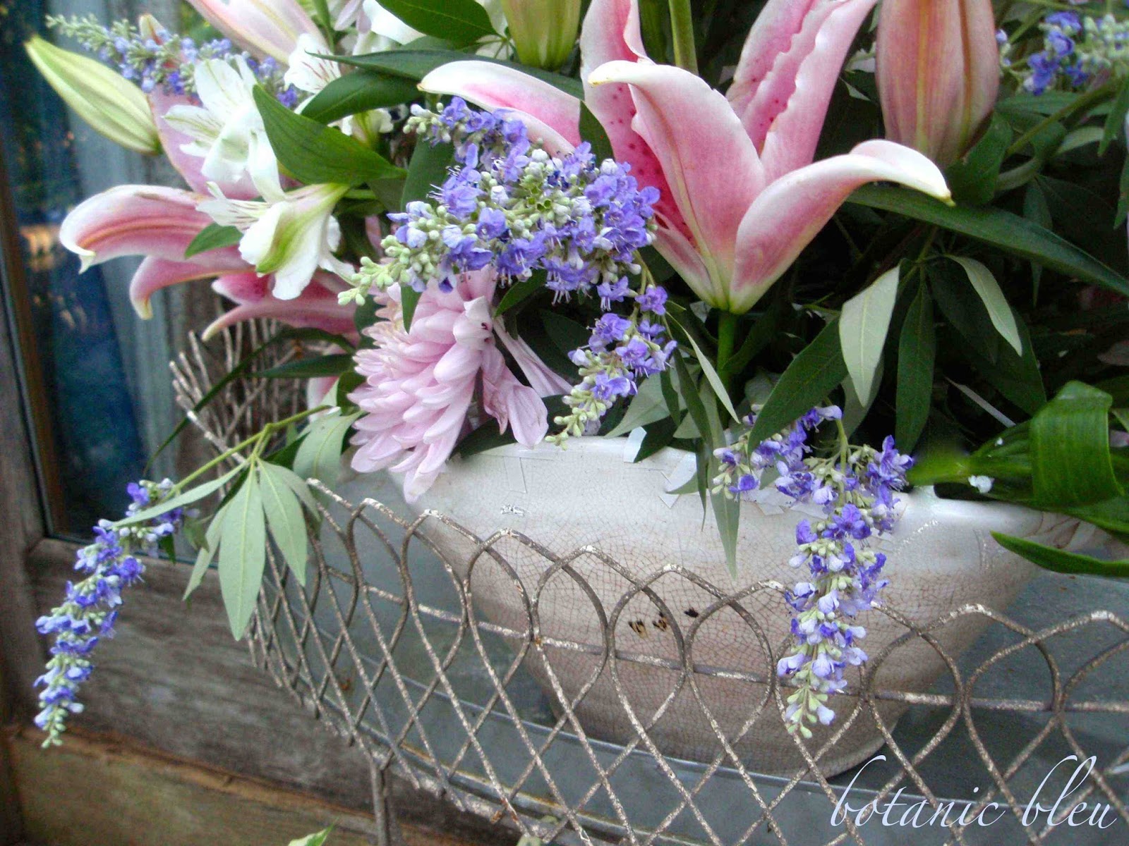 Botanic Bleu French Flowers Today